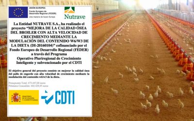 Nutrave carries out a project to improve chicken bone quality